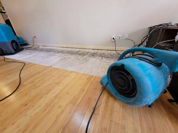 Professional Water Extraction technician working in Lincoln, TX
